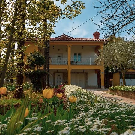 Apartment Villa Olga 波雷奇 外观 照片