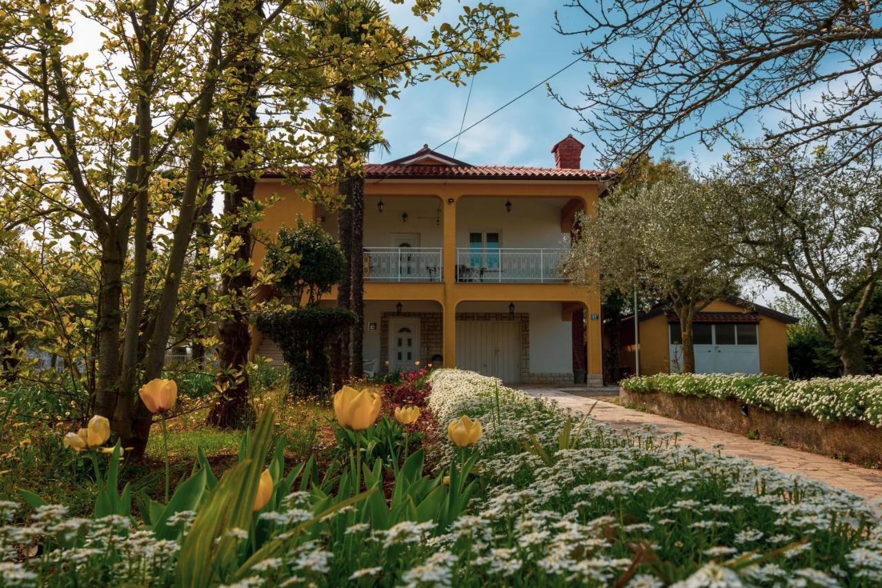 Apartment Villa Olga 波雷奇 外观 照片